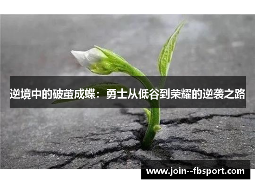 逆境中的破茧成蝶:勇士从低谷到荣耀的逆袭之路 逆境中的破茧成蝶:勇士从低谷到荣耀的逆袭之路